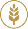 Bevat gluten